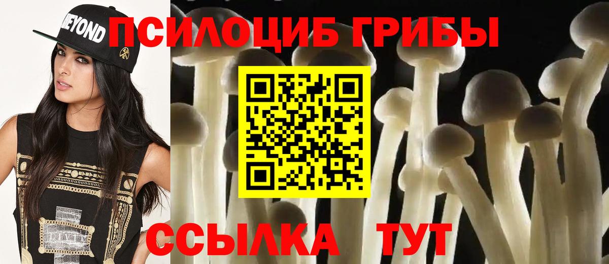 Галлюциногенные грибы Psilocybine cubensis Шахты